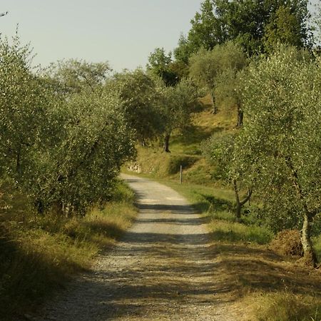Aramo Verde מראה חיצוני תמונה